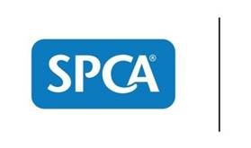 SPCA 1